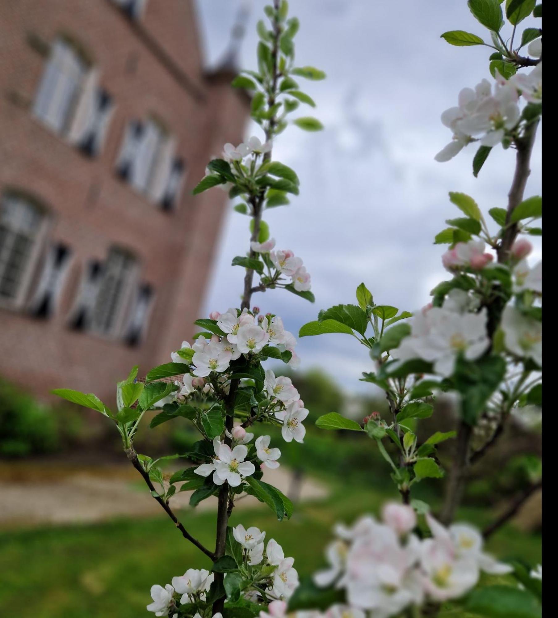 Kasteel Aldenghoor Acomodação com café da manhã Haelen Exterior foto